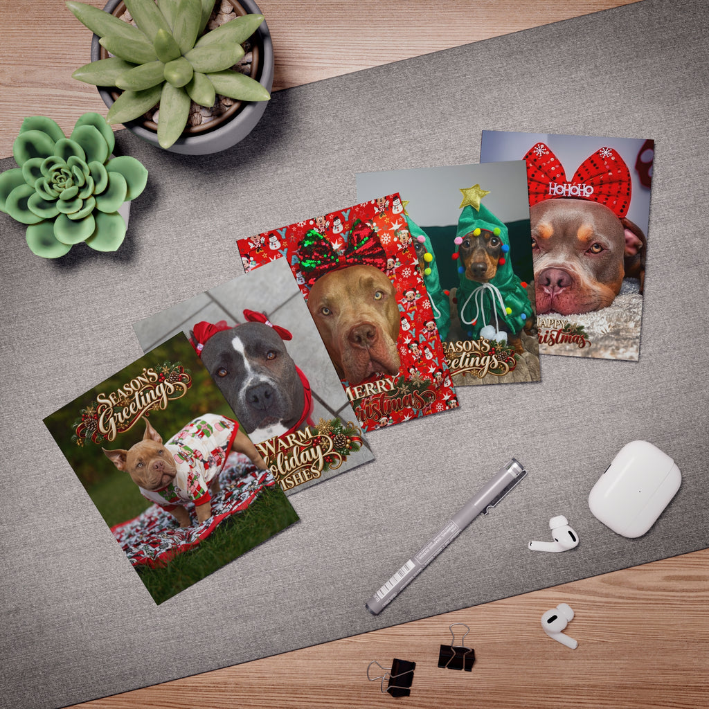 Gunner the Stunner & Gang Christmas Card Collection USA & CANADA (Pack of 5)