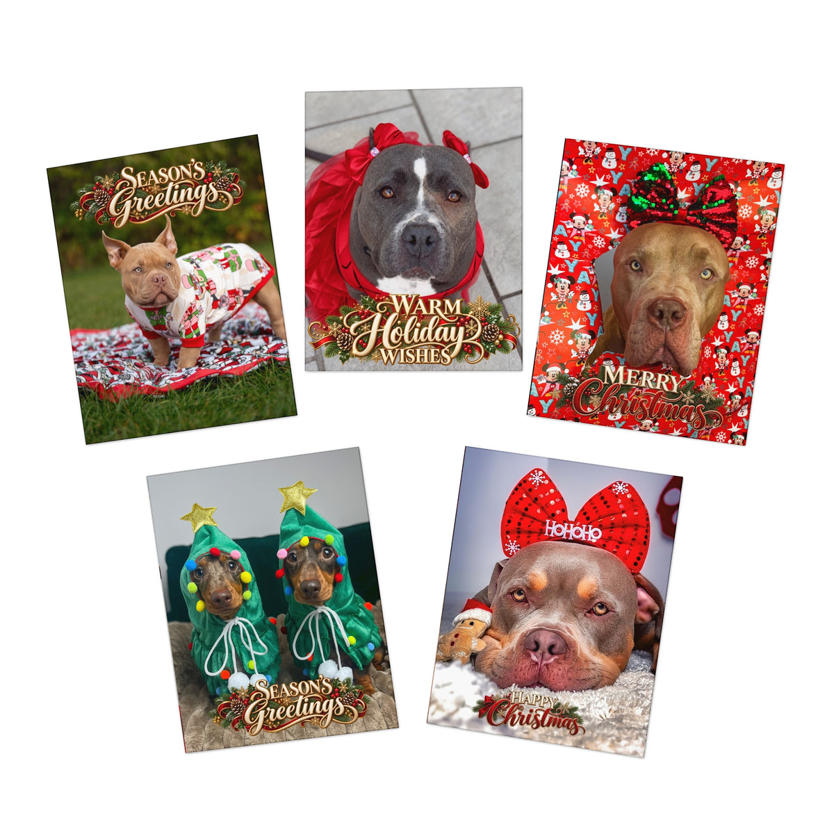 Gunner the Stunner & Gang Christmas Card Collection USA & CANADA (Pack of 5)