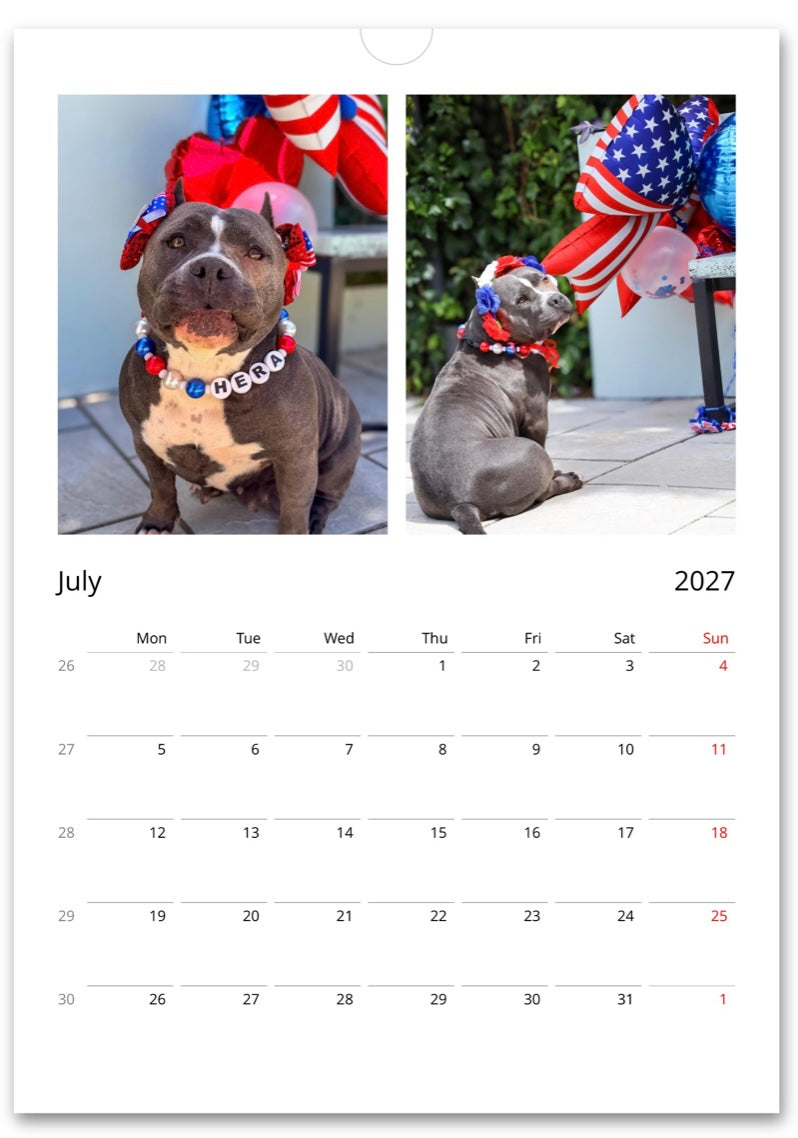 Hera the Rescue mama Wall calendar 2027 (EU & UK & Rest of World)
