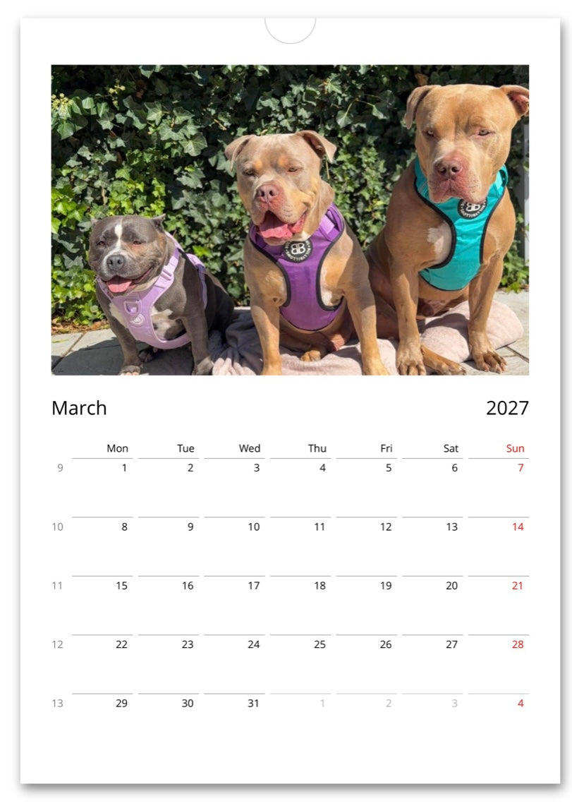 Gunner & Gang Wall calendar 2027 (EU & Rest of World)