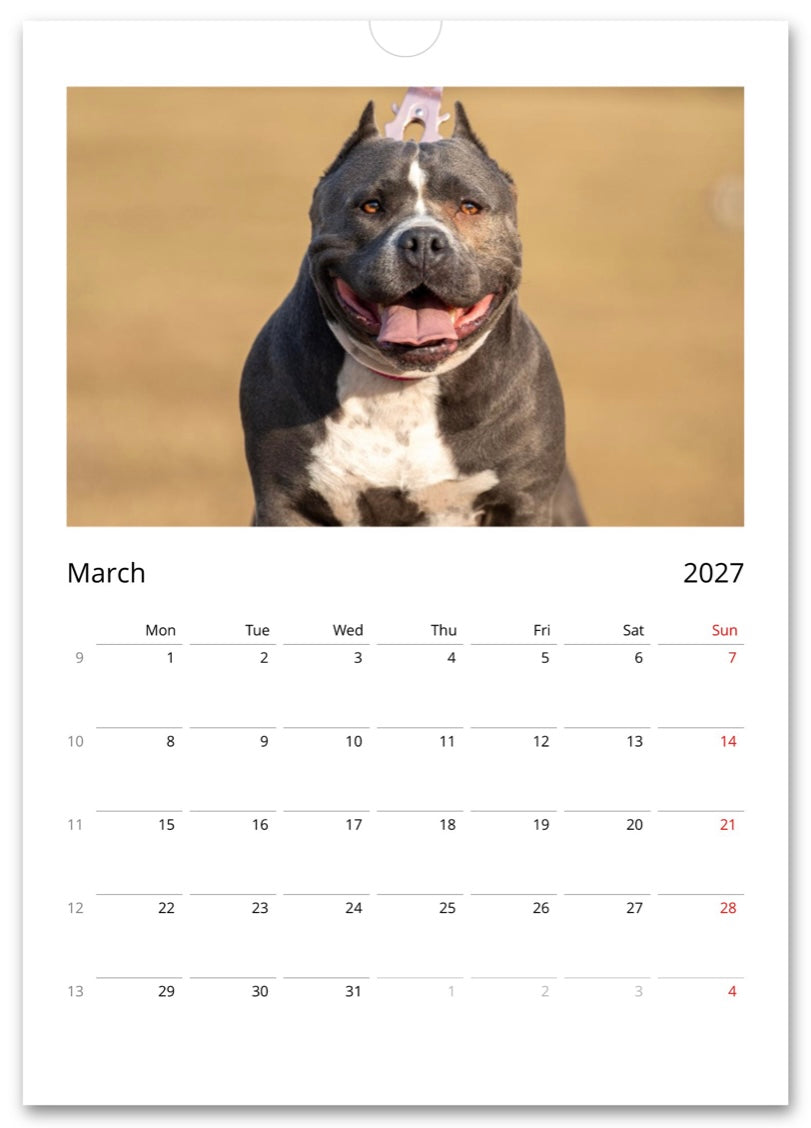 Hera the Rescue mama Wall calendar 2027 (EU & UK & Rest of World)