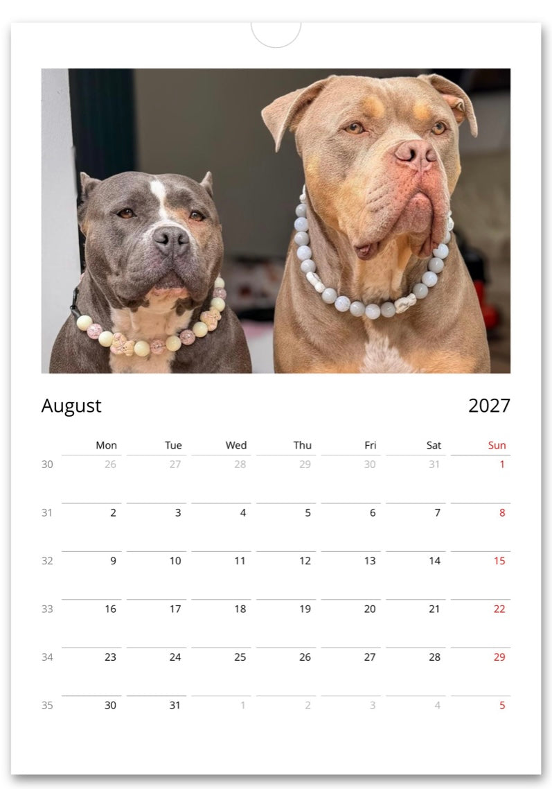Gunner & Gang Wall calendar 2027 (EU & Rest of World)
